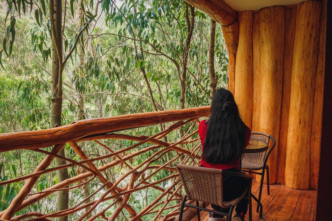 Eco Quechua Lodge サンタ・テレサ エクステリア 写真